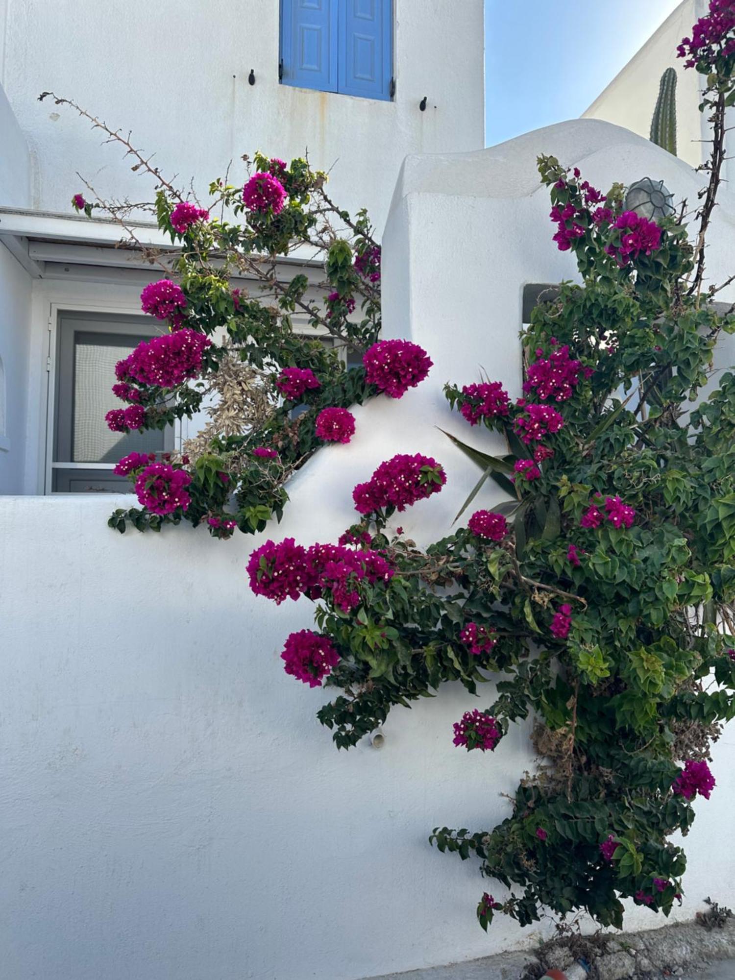 Casaornos Ornos (Mykonos)