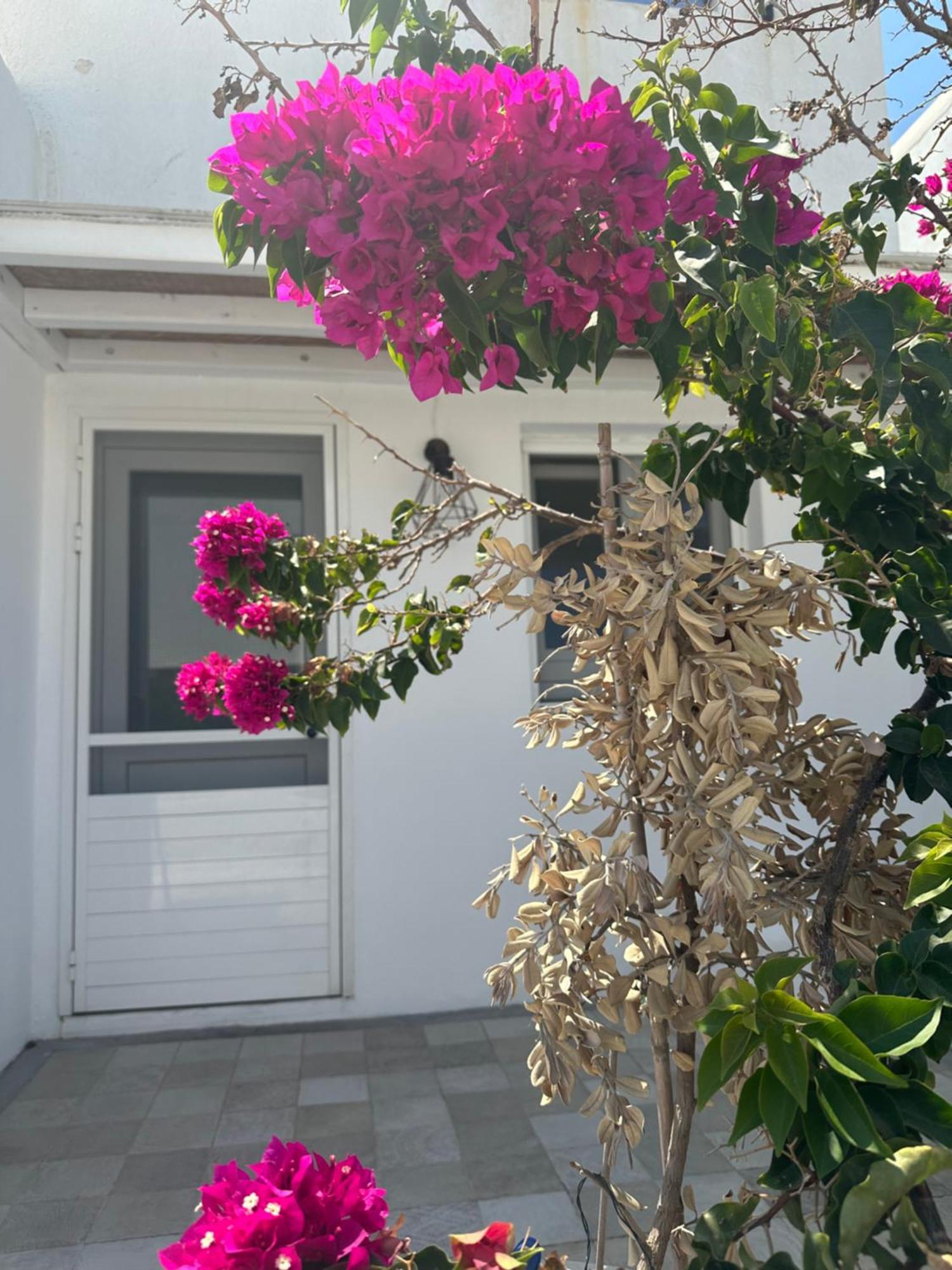 Casaornos * Ornos (Mykonos)